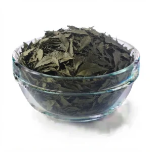 Dried Neem Leaves