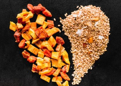 fiber rich healthy snacks