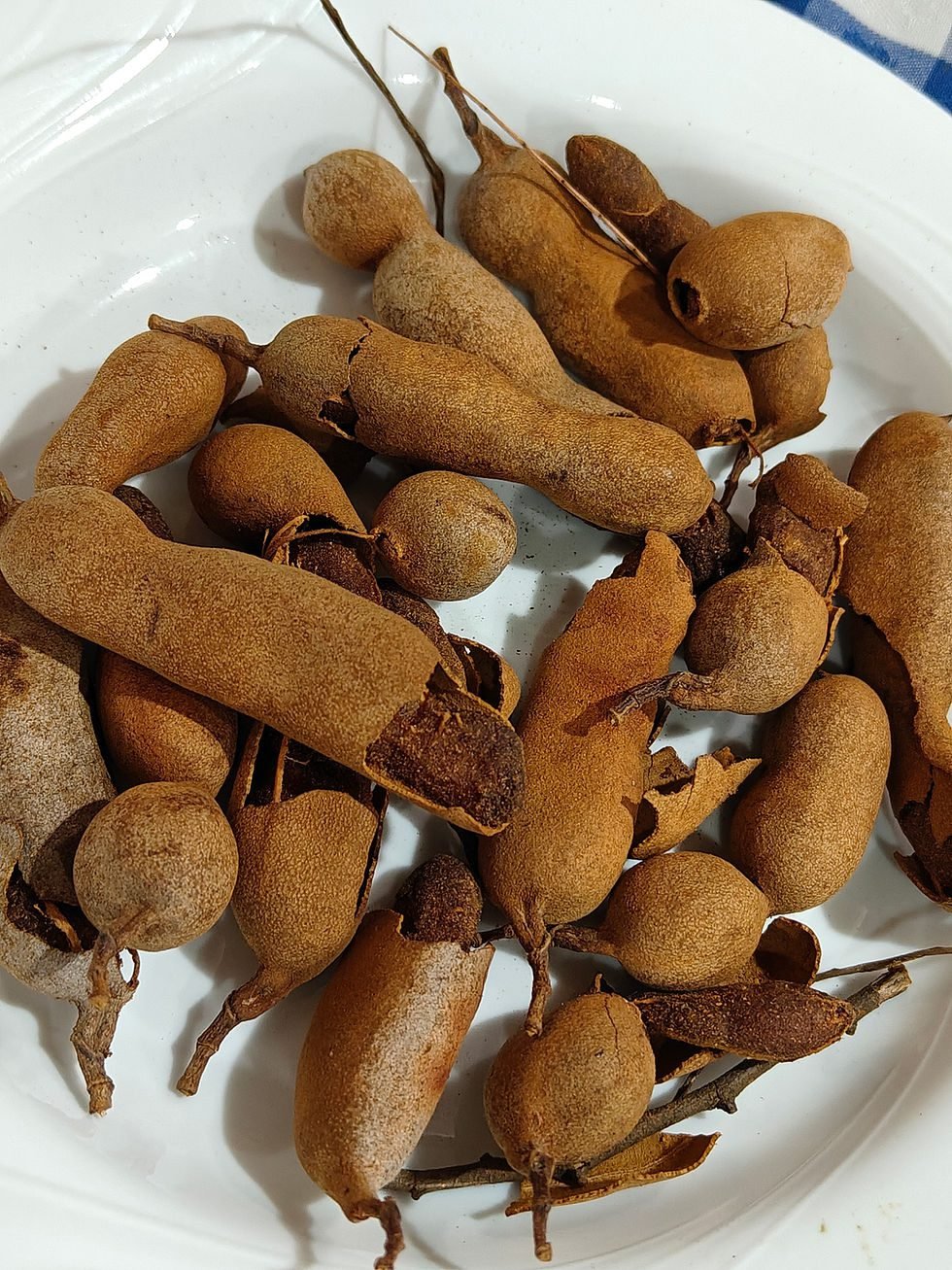 tamarind fruit benefits