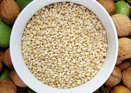 Omega 6 Rich Seeds
