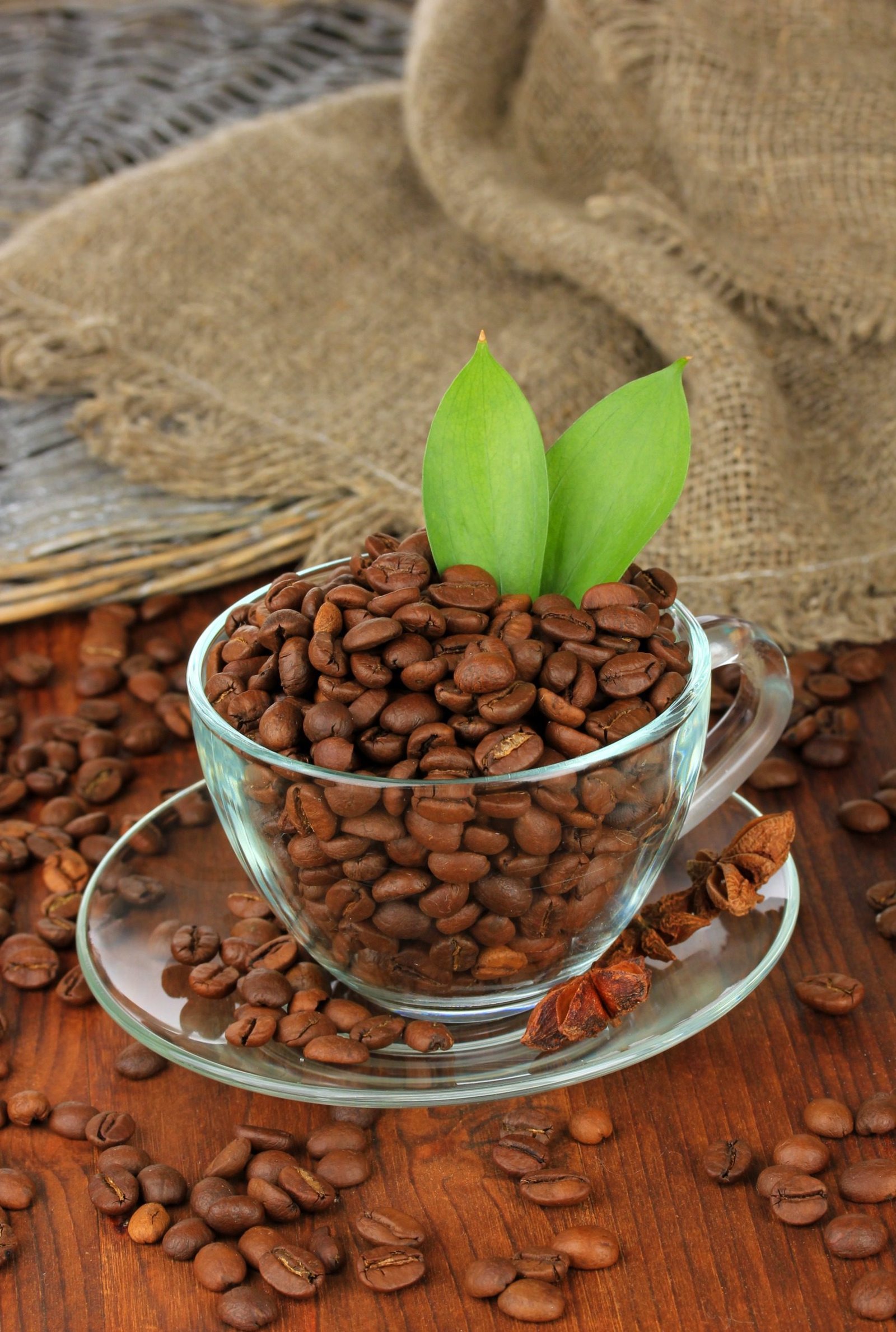 organic coffee for energy