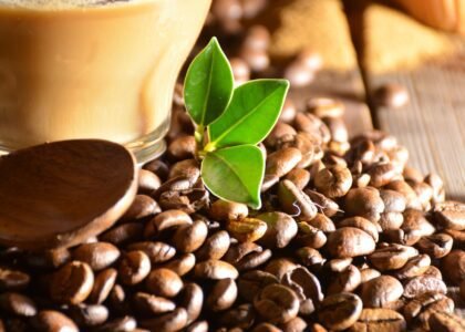 organic coffee for energy
