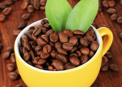 organic coffee for energy