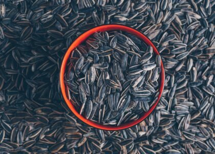 organic sunflower seeds