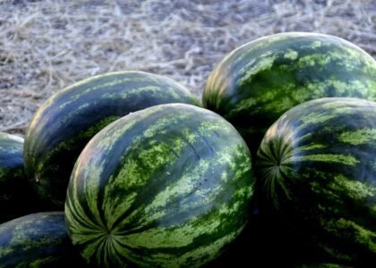 watermelon health benefits