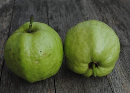 guava health benefits