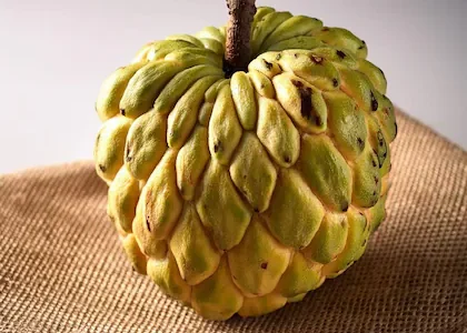 Custard Apple Health Benefits