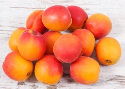 Apricot health benefits