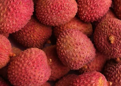 Lychee Health Benefits