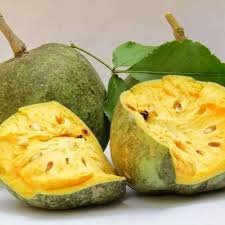 Bael health benefits