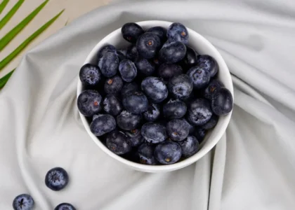blueberry health benefits