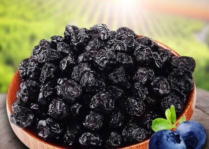 blueberry health benefits