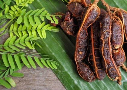 tamarind fruit benefits