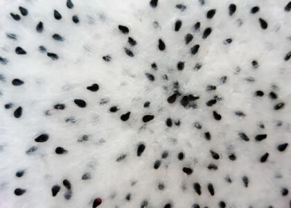 Dragon Fruit health benefits