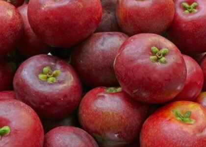 Kokum Health Benefits