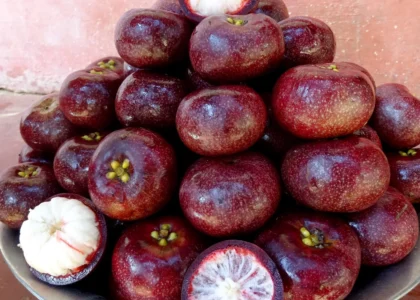 Kokum Health Benefits