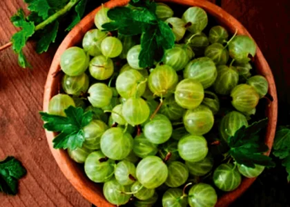 Amla health benefits