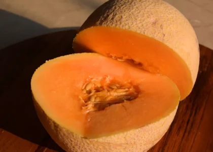 Muskmelon Health Benefits