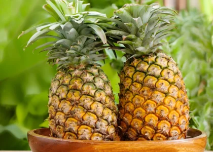 pineapple health benefits