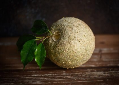wood apple health benefits