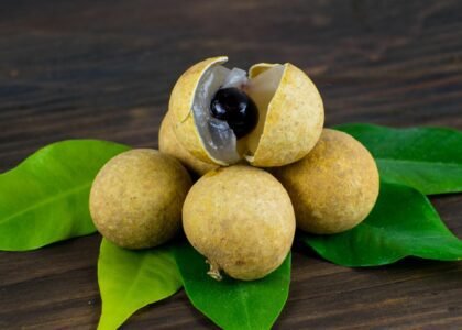 Longan fruit benefits