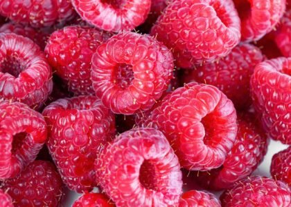 raspberry benefits
