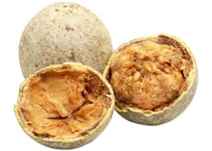 wood apple health benefits