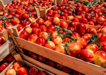 Natural fruits nutrition benefits