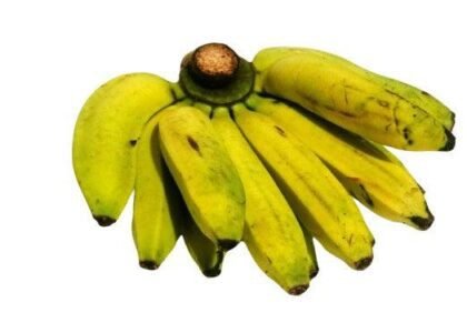 Hill banana health benefits