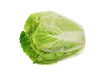 cabbage health benefits