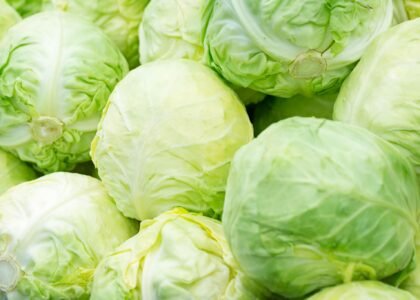cabbage health benefits