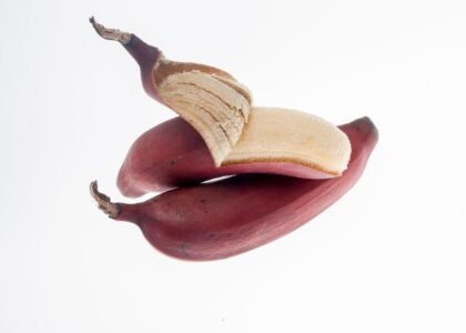 Red banana health benefits