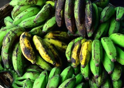 Hill banana health benefits