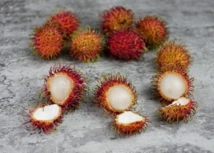 Rambutan fruit benefits