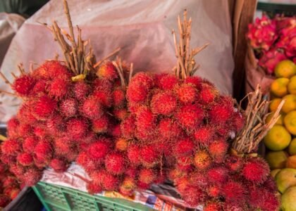 Rambutan fruit benefits
