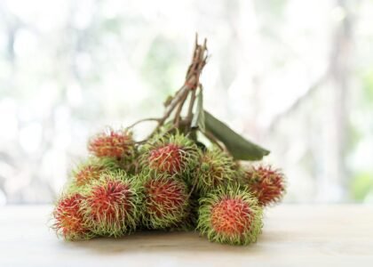 Rambutan fruit benefits