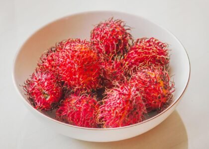 Rambutan fruit benefits