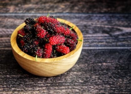 mulberry benefits