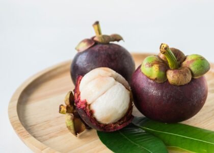 Mangosteen benefits