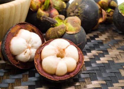 Mangosteen benefits