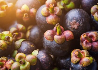 Mangosteen benefits