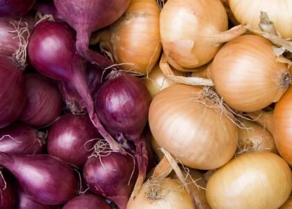 onion health benefits