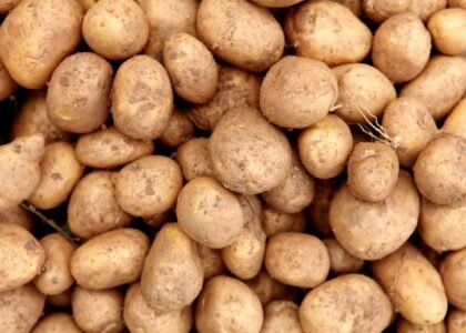 potato health benefits