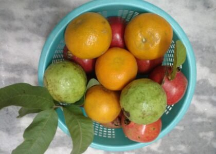 best fruits for winter