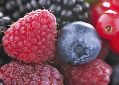 Wild berries health benefits