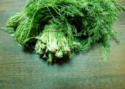 dill leaves benefits