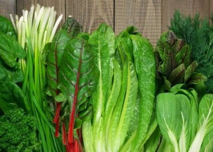 Iron Rich Vegetables Health Benefits