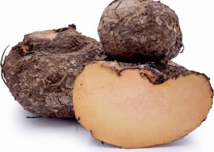Yam Health Benefits