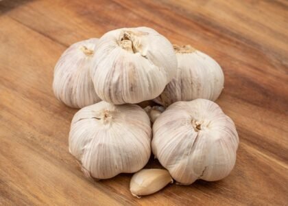 Garlic Health Benefits