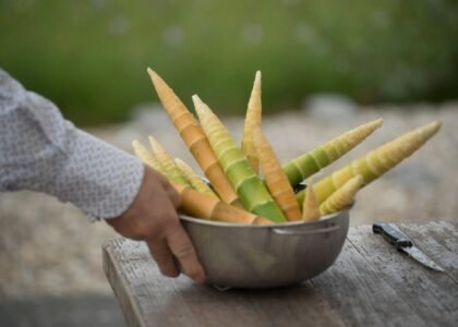Bamboo Shoots Health Benefits